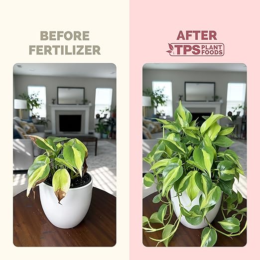 Philodendron Fertilizer – Liquid Plant Food for Bigger Leaves, Lush Foliage & Steady New Growth, 1 Gallon