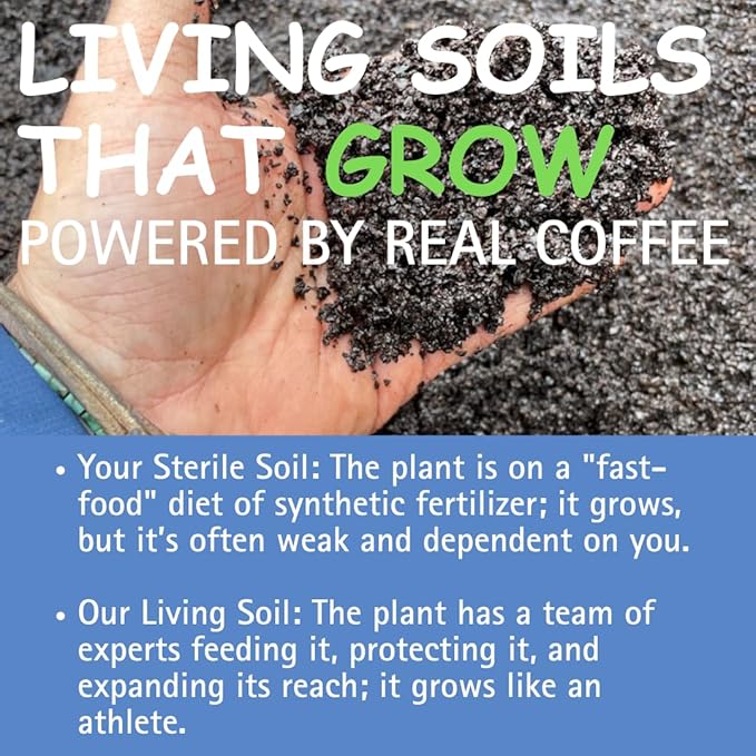 Java Potting Soil: A Well Draining, Coffee‑Infused Living Indoor Mix Ready to Grow. for All Monstera, Calathea, Fiddle Leaf Fig, ZZ, Snake, Spider and Pothos Plants; with Chunky Vermiculite. 6 (QT)