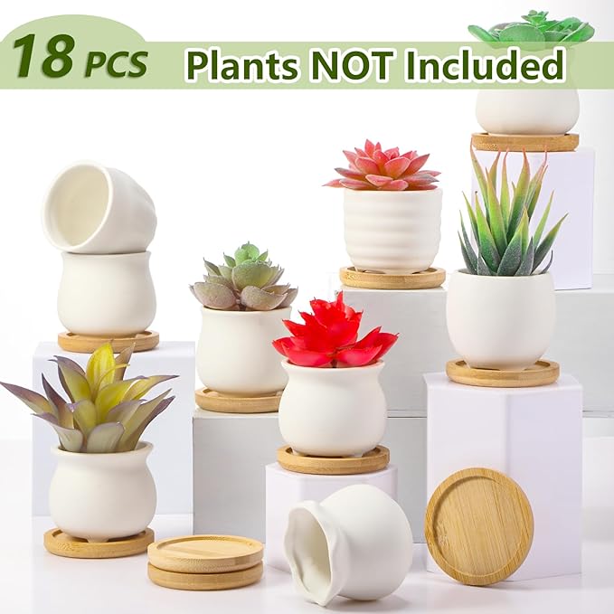 Remerry 18 Pcs 2.5 Inch Mini Succulent Pots with Bamboo Tray White Ceramic Pots Color Your Own DIY Small Planters Containers for Flower Cactus with Drainage Hole for Plant Lover