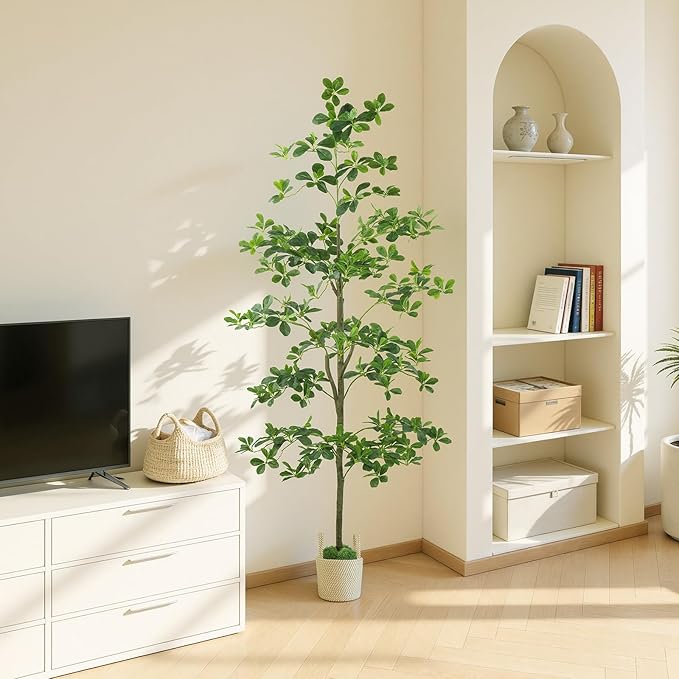 Caxchiling Artificial Black Olive Tree 6FT, Fake Potted Tree for Indoor Outdoor, Lifelike Faux Floor Plants with Moss Topper and Cotton Basket, Home Office Living Room Bedroom Doorway Hallway Decor