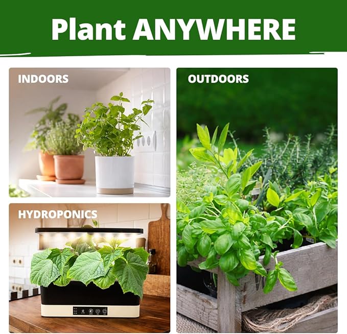 HOME GROWN Herb Seeds for Planting 15-Pack Massive Seed Count 4,300+ Seeds Non-GMO Heirloom | Extra Large | Culinary Herb Kit, Indoor Outdoor & Hydroponic | Grow Your Own Herbs | Gardening Gift