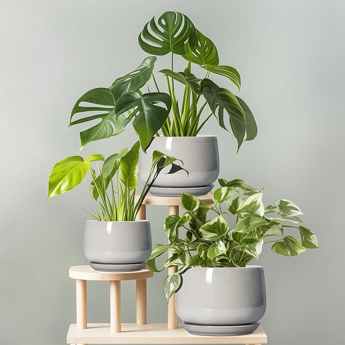 G EPGardening Ceramic Pots for Plants - 6 Inch Plant Pot with Drainage and Ceramic Tray, Modern Succulent Pots, Round Planters for Indoor Plants, Living Room Decor, Gifts for Plant Lovers, Light Grey