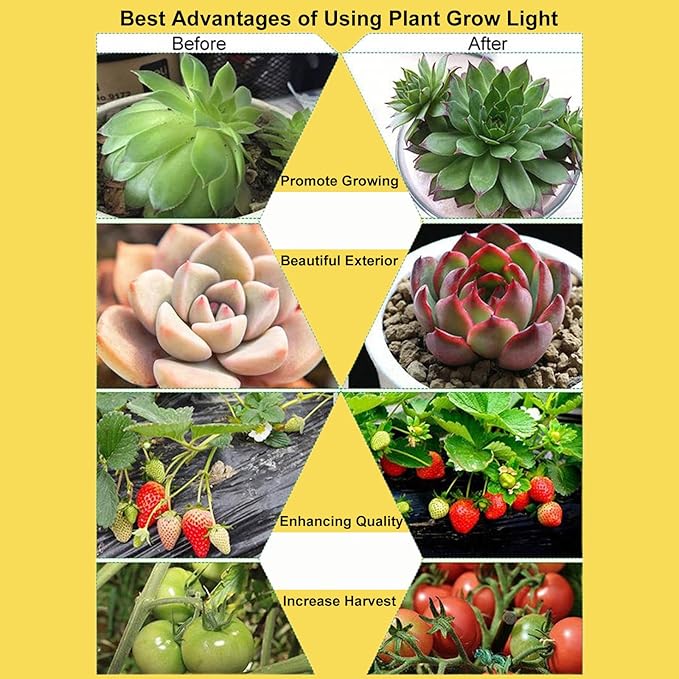 2 Head Grow Lights for Indoor Plants, 6000K Full Spectrum Grow Light for Flowers, Fruits, Vegetables, Auto On Off Timing, 9 Dimming, 360 Degree Adjustable Plant Lights, 1 Pack