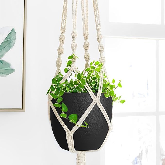 Ferlypote Plant Pots 8 Inch Set of 2, Flower Pots with Multi Mesh Drainage Holes, Planters for Indoor Outdoor Garden Plants and Flowers (Black)