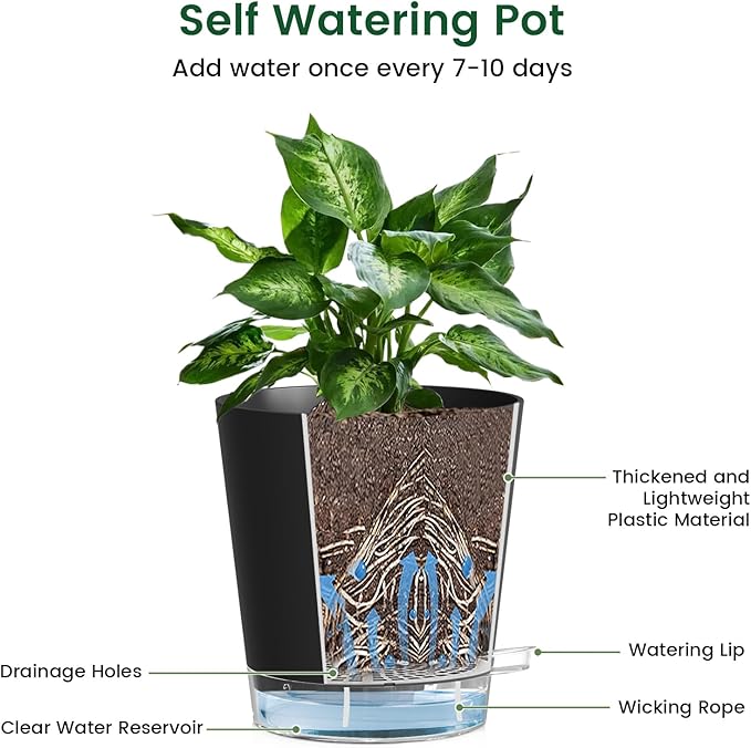 Meowell Self Watering Pots Pack of 6 – Different Size 4" to 7" Indoor Plant Pots with Drainage Holes and Clear Reservoir for Visible Water Level, Plastic Wicking Planters for House Plants, Black