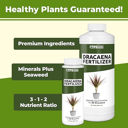 Dracaena Fertilizer – Liquid Plant Food for Rich Green Leaves & Strong Cane Growth, 8 oz