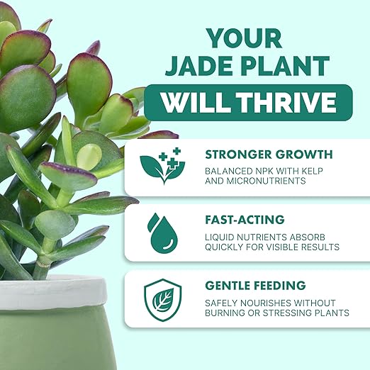 Jade Fertilizer – Gentle Liquid Plant Food for Thick Leaves, Healthy Growth & Vibrant Color, 8 oz