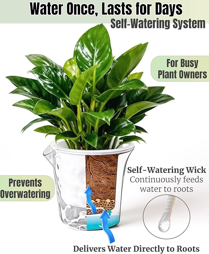 3-Pack Clear Self Watering Plant Pots, 5 Inch Clear Flower Pots with Drainage Holes, Tray and Rope, Plastic Self Watering Planters for Indoor Outdoor Garden Plants, African Violet, Herbs