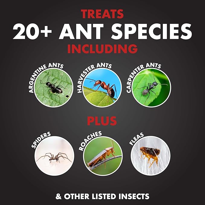 Spectracide Ant Shield Insect Killer Ready-To-Use 1 Gallon, Indoor Plus Outdoor Home Barrier - Pack of 4