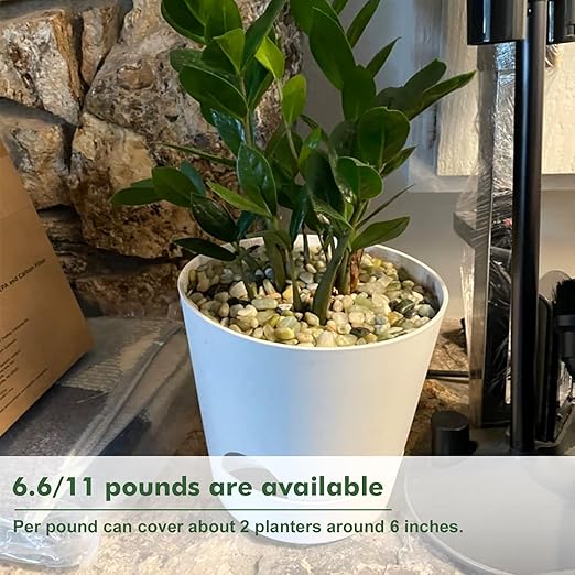 18 lbs Succulent and Cactus Bonsai Pebbles, 6-9mm Decorative Landscaping Polished Stones Natural Garden Gravel Rocks for Indoor Outdoor Plants Aquariums DIY, and Gardening Top Dressing, Jade Green