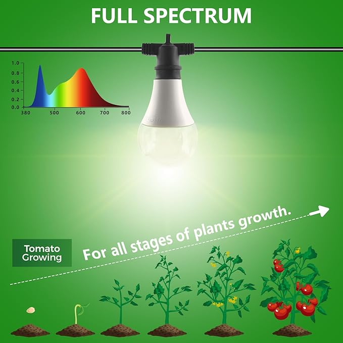 Hanging Grow Light String Bulbs LED Growth Bulb A25, Full Spectrum Plant Light E26 Base 15W, houseplant Growting lamp, Greenhouse Indoor or Outdoor (3 Lights and Cord)