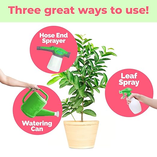 Guava Tree Fertilizer – Liquid Plant Food for More Fruit, Better Flowering & Stronger Root Development, 8 oz