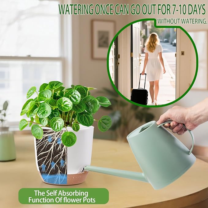 7.2 Inch Self Watering Orchid Pots for Indoor Plants,Macetas para Orqudeas,Flower Pots for Indoor Plants with Holes（White）