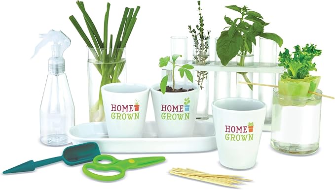 Home Grown Hydroponic Growing Kit - Tools & Instructions for No-Waste Kitchen Gardening. Ages 8 and up.