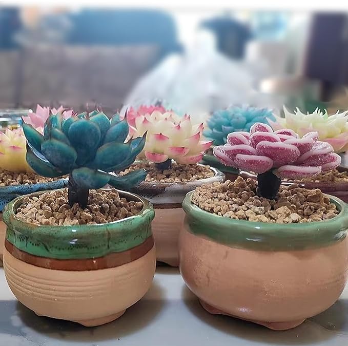 FANTIAN 10 lbs Maifanitum Stones for Succulent,1/4 Inch Decorative Rocks for Indoor Plants, Bonsai, Soil Cover. Small Stones for Water Drainage and Plant Growth