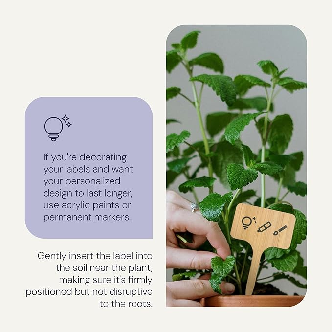 Bamboo Plant Labels & Garden Tags | 7" Long T-Type Wooden Garden Markers for Labeling Herbs, Seedlings, Vegetables, Cheeses, Appetizers, Desserts | 50 pcs