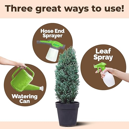 Pine Tree Fertilizer - for Leyland Cypress & Evergreen Tree Care - Pushes Rapid Root Growth for Strong, Wind-Resistant Yard Trees - Liquid Plant Food, 1 Gallon