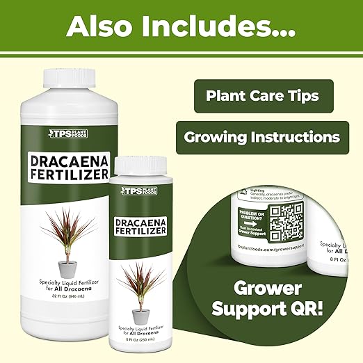 Dracaena Fertilizer – Liquid Plant Food for Rich Green Leaves & Strong Cane Growth, 8 oz