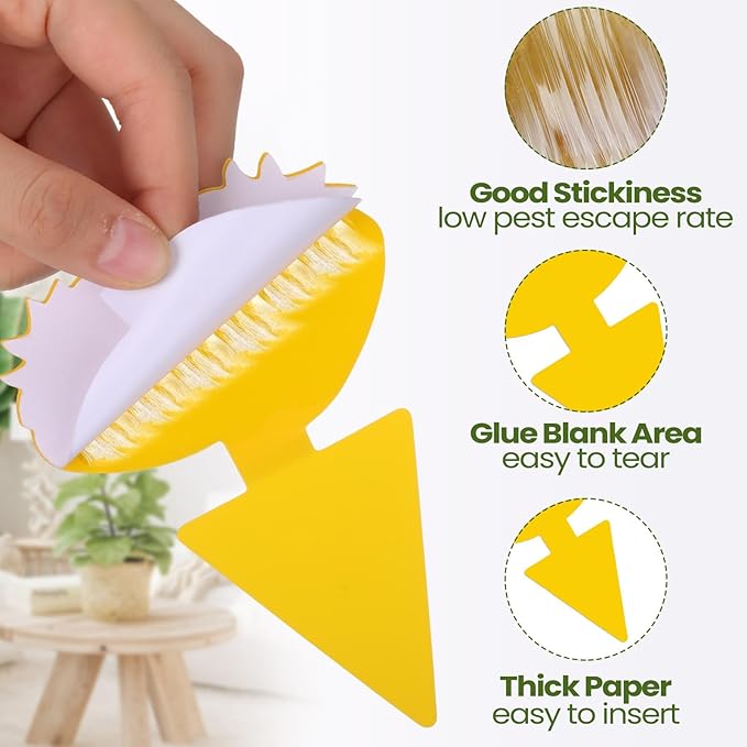 Qualirey 200 Sheets Fruit Fly Sticky Traps for Fruit Fly Gnat Trap for House Indoors Sticky Traps Catcher for Gnats Fungus Gnats Mosquito Catcher for Kitchen Outdoor Plants (Fresh Style, Yellow)
