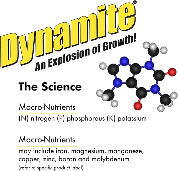 Dynamite Complete Plant Food Flower & Vegetable1 lb (Pack of 4)