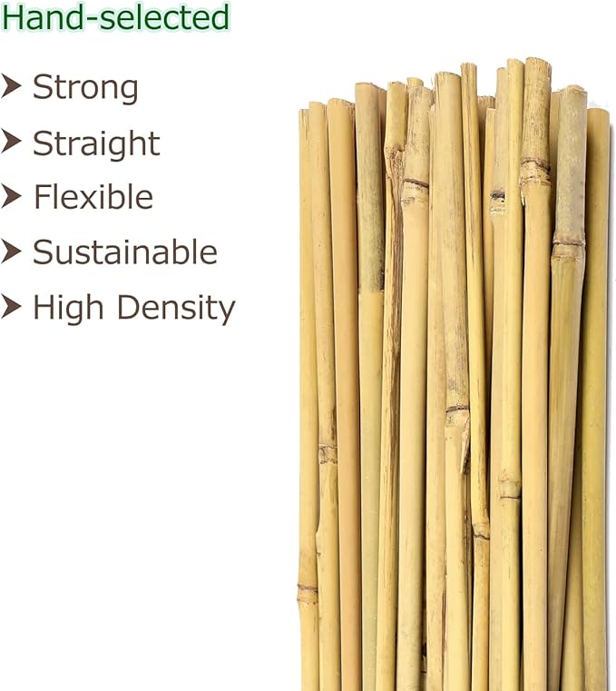 Cambaverd Bamboo Garden Stakes 3 Feet Plant Stakes for Roma Tomatoes Sunflowers Beans Potted and Climbing Plants - Pack of 25 Bamboo Sticks
