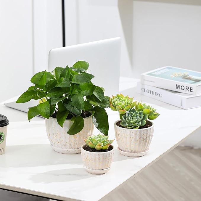 STHIE Ceramic Plant Pots with Drainage Holes and Saucers, Round Flower Pots for Indoor Plant, Diameter 3.3/4.3/5.5 Inches Small Flower Planters Set of 3