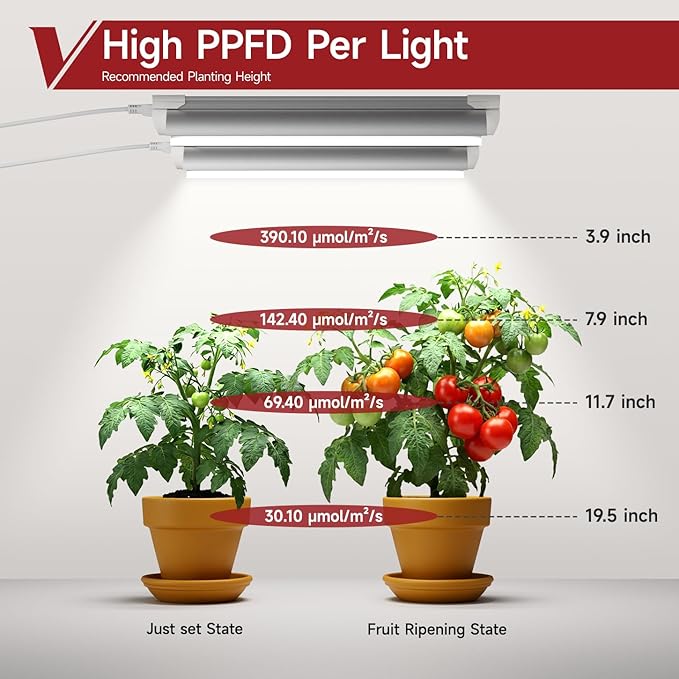 2 Pack LED Grow Light 1FT, 5000K Full Spectrum, 30W (2 x 15W), Linkable Growing Lamp Fixture, T8 Grow Lights for Indoor Plants, Seed Starting, Vegetables,White