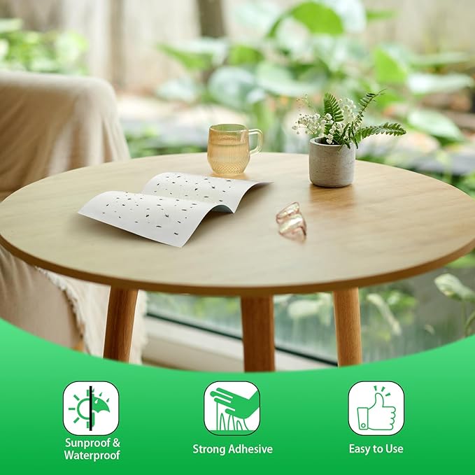 Qualirey 10 Pcs Fly Paper Traps Sticky Adhesive Fly Paper Traps Indoor and Outdoor Fungus Gnat Killer Plants Insect Gnat Catchers Glue Boards for Bug, Whiteflies, Aphids, Pest Control