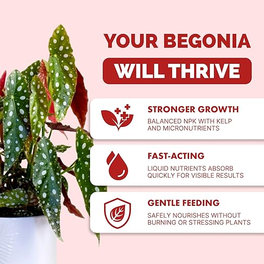 Begonia Fertilizer – Liquid Plant Food for More Blooms, Vibrant Color & Healthy Leaf Growth, 8 oz