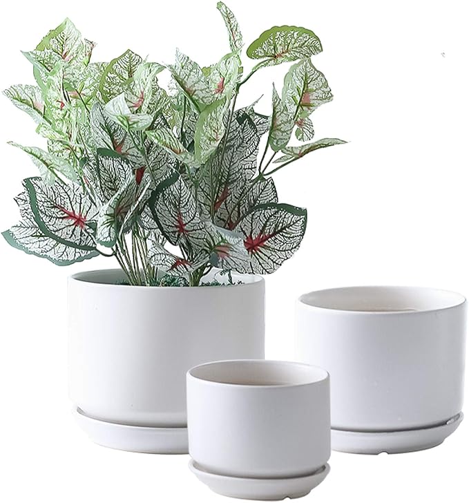 Yishang Succulent Plant Pots,6.7+5.3+4.1 in Glazed Ceramic Planters with Connected Saucers, Round Modern Ceramic Flower pots - Small to Large Sized Plant pots for All House Plants(Matte White)