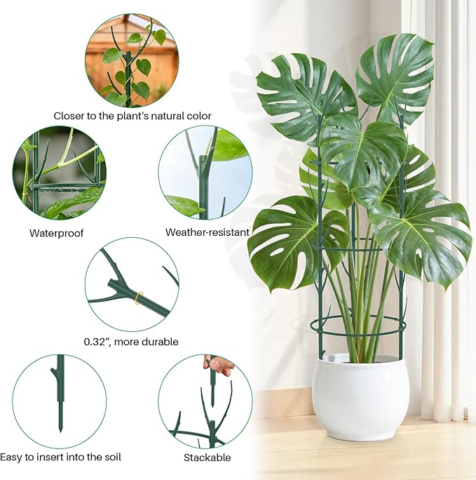 Monstera Plant Support Stakes, 30 Pcs Stackable Plant Support Stakes Sticks Poles for Indoor & Outdoor Plants, Climbing and Potted Plants, Stem Supports, Pothos