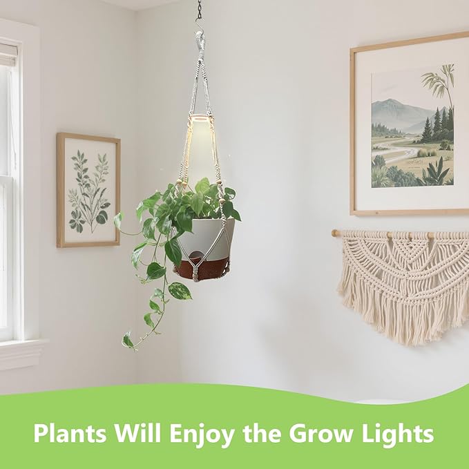 2 Pack Hanging Planters with Grow Light for Indoor Plants, 10” Self Watering Pots for Apartments & Low-Light Rooms, Macrame Hangers, Timer, Drainage Holes & Removable Tray
