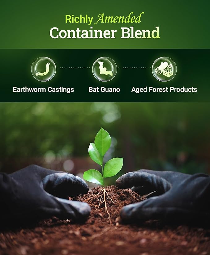 FoxFarm Happy Frog Potting Soil - Ready-to-Use Amended Container Blend with Soil Microbes, Earthworm Castings, Bat Guano, and Aged Forest Products for Indoor & Outdoor Plants - 12 Quart (Pack of 3)