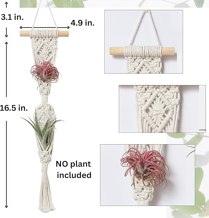 4 Pack Air Plants Holders, Wall Planters for Indoor Plants | Macrame Plant Hanger, Air Plant Hanger for Air Fern, Tillandsias, Live Houseplants & Succulent (NO Plant Included)