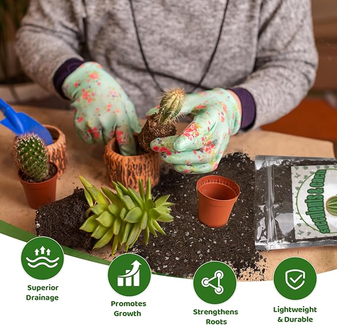 Doter Cactus & Succulent Soil Mix 1qt, Chunky Well-Draining Soil for Indoor Plants - Spike & Bloom