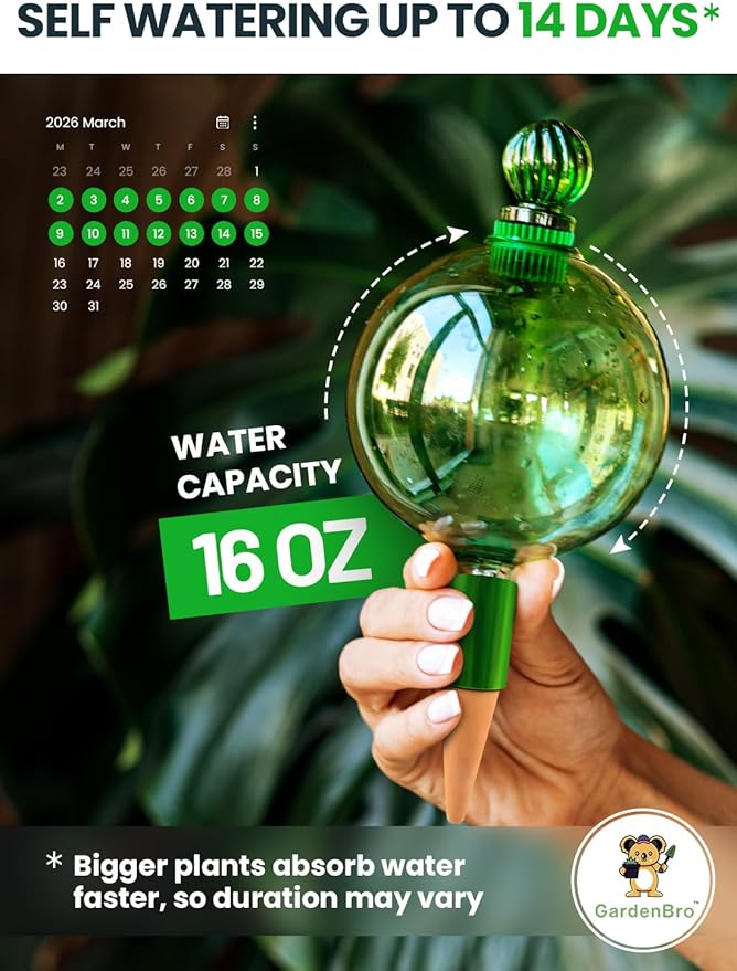 16 Oz Plant Watering Globes for Indoor Plants with Terracotta Self Watering Planter Insert - Hand-Blown XL Glass Globes - Automatic Indoor Planter Waterer, Gift Idea for Gardeners [1, Emerald]