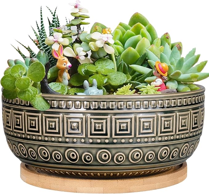 G EPGardening 8 Inch Ceramic Succulent Planter Pots Round Shallow Bonsai Planter Pot for Indoor Plants with Drainage and Bamboo Saucer Gray