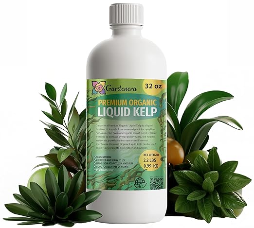 GARDENERA Organic Liquid Kelp Fertilizer - 32 oz -Enhance Your Garden's Yield with Seaweed Fertilizer for Plants - Concentrated Kelp & Seaweed Extract