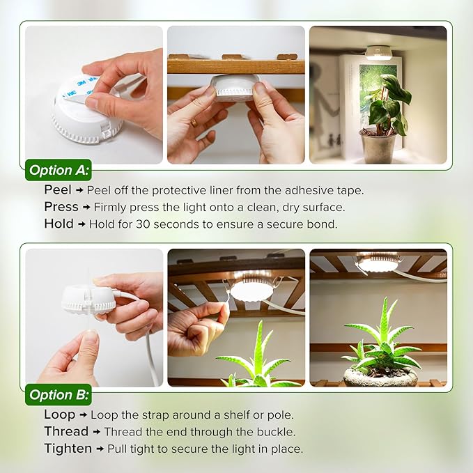 7W Grow Light for Indoor Plants, Full Spectrum Plant Light with Auto Timer (3/6/12H) & 4-Level Dimming, Small Led Grow Light for Seedlings, Succulents, Herbs