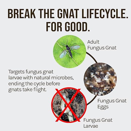 Microbe-Life Hydroponics FGX Fungus Gnat Killer, Natural BTi Pest Control for Plants, Indoor Plant Pest Control to Get Rid of Gnats in Houseplants, Safe for Pets & People, 8 Fl Oz