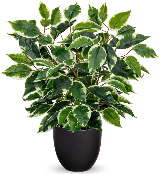 GnFlus Fake Plant 15.7” Artificial Plants Indoor Small Ficus Potted Plants Silk Plants Faux Topiary Plant for Home Bathroom Bedroom Dining Room Kitchen Window Shelf Desk Centerpieces Tabletop Decor
