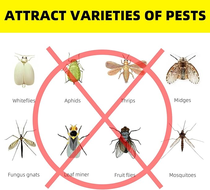 36PCS Fruit Fly Sticky Traps Fungus Gnat Traps Insect Trap for Plants Kitchen Indoor Outdoor White Flies Mosquitos Fungus Gnats Flying Insects Houseplant Gifts (Apple Shape)