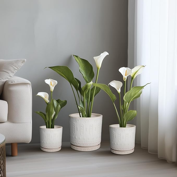 Eightpot Pot for Plants 6 Inch - Ceramic Planter for Indoor Plants Decorative Plant Pot with Drainage Holes and Saucer Outdoor Flower Pot Modern Succulent Pots for Office Desk Decor White