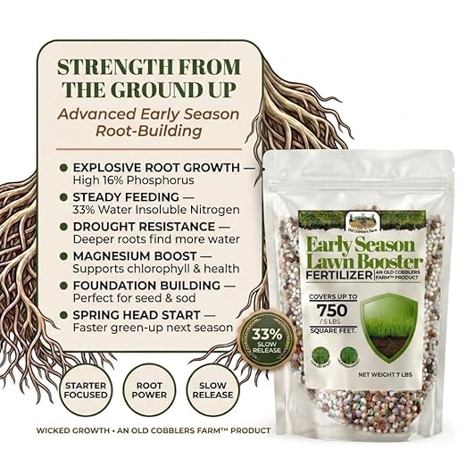Old Cobblers Farm Wicked Growth Early Season Lawn Booster 6-16-12 – Starter Lawn Fertilizer for Strong Root Development (5 lbs | 10 lbs | 15 lbs | 20 lbs) (5 lbs)