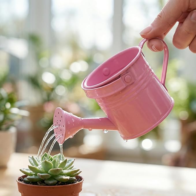 Kids Metal Watering Can for Gardening, 5pack Small Iron Watering Can for Succulents Houseplants Bonsai, Mini Water Pot for Children Sprinkling Bucket (Mixed Style: Pink, Green, Yellow, Beige, Blue)