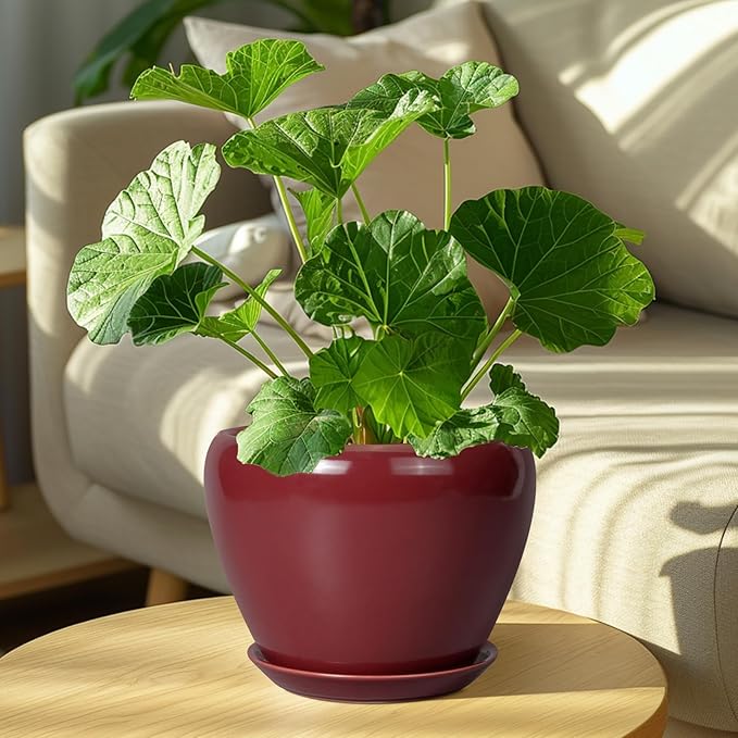 Ceramicfor Ceramic Planter - 8 Inch Plant Pot Indoor with Drainage Hole and Saucer Planter for Outdoor Plants Round Flower Pot for House Patio Decor Red