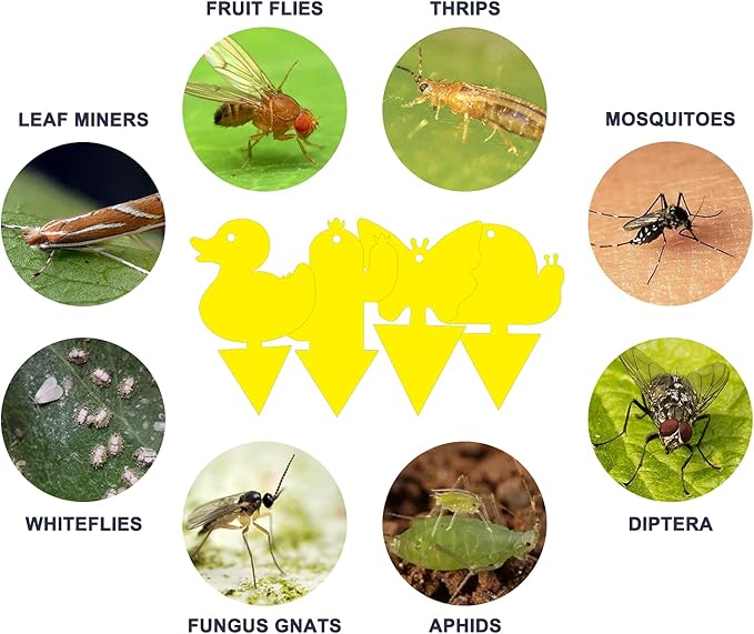 Gideal 24-Pack Dual-Sided Yellow Sticky Traps for Indoor/Outdoor Use, Gnat Trap for Flying Plant Insect Such as Fungus Gnats, Whiteflies, Aphids, Fruit Fly, Leafminers, etc - Cute Shapes