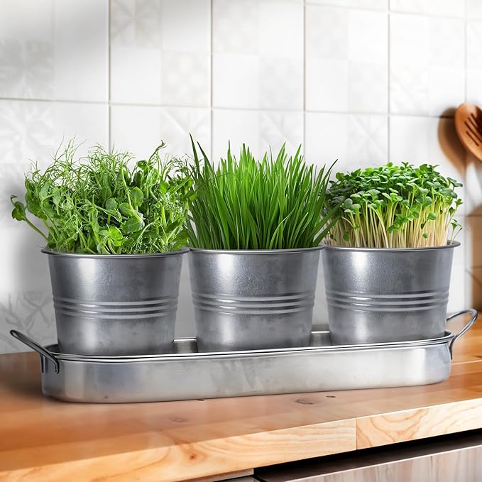 Plexon Herb Planter Indoor Garden Set of 3 with Tray, Metal Herb Pots for Indoor Plants, Round Kitchen Garden Kit Ideal for Windowsill Planter or Countertop, Galvanized Steel