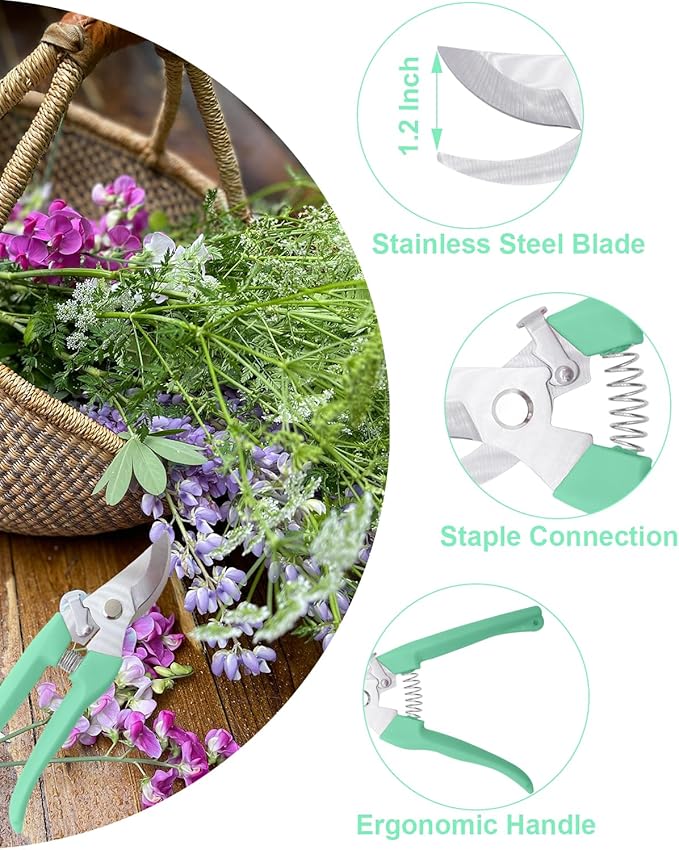 Pruning Shears for Gardening, 2 Pack Garden Scissors for Cutting Fresh Flowers, Floral Clippers for Plants, Fruits (Green)