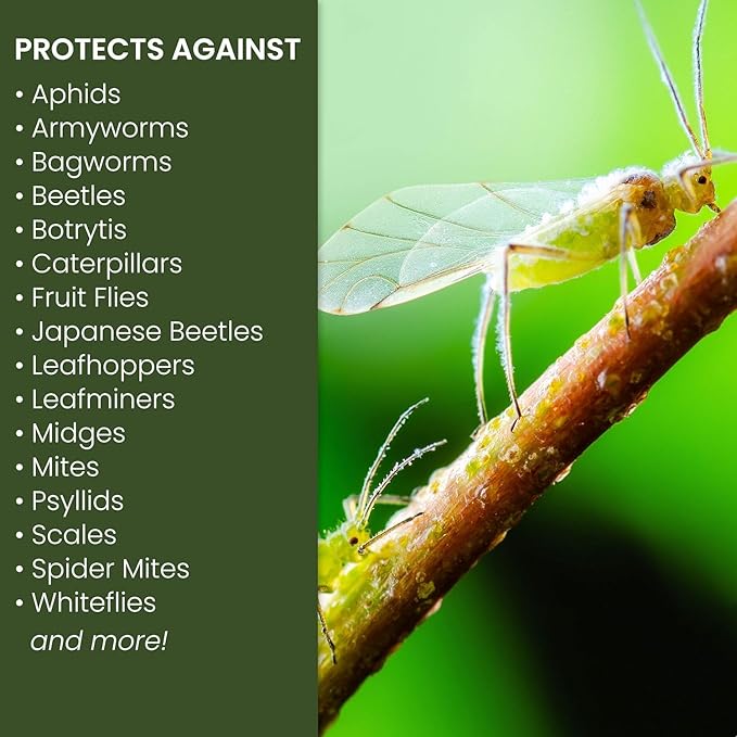 NATRIA Armyworm Pheromone Trap, Ready-to-Use, (1-Pack) with NATRIA Neem Oil Spray for Plants Pest Organic Disease Control, for Insects, 24 Oz, Ready-to-Use